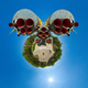 Illustration for article titled Each of These Panoramic Pictures Is Its Own Tiny Twisted Planet